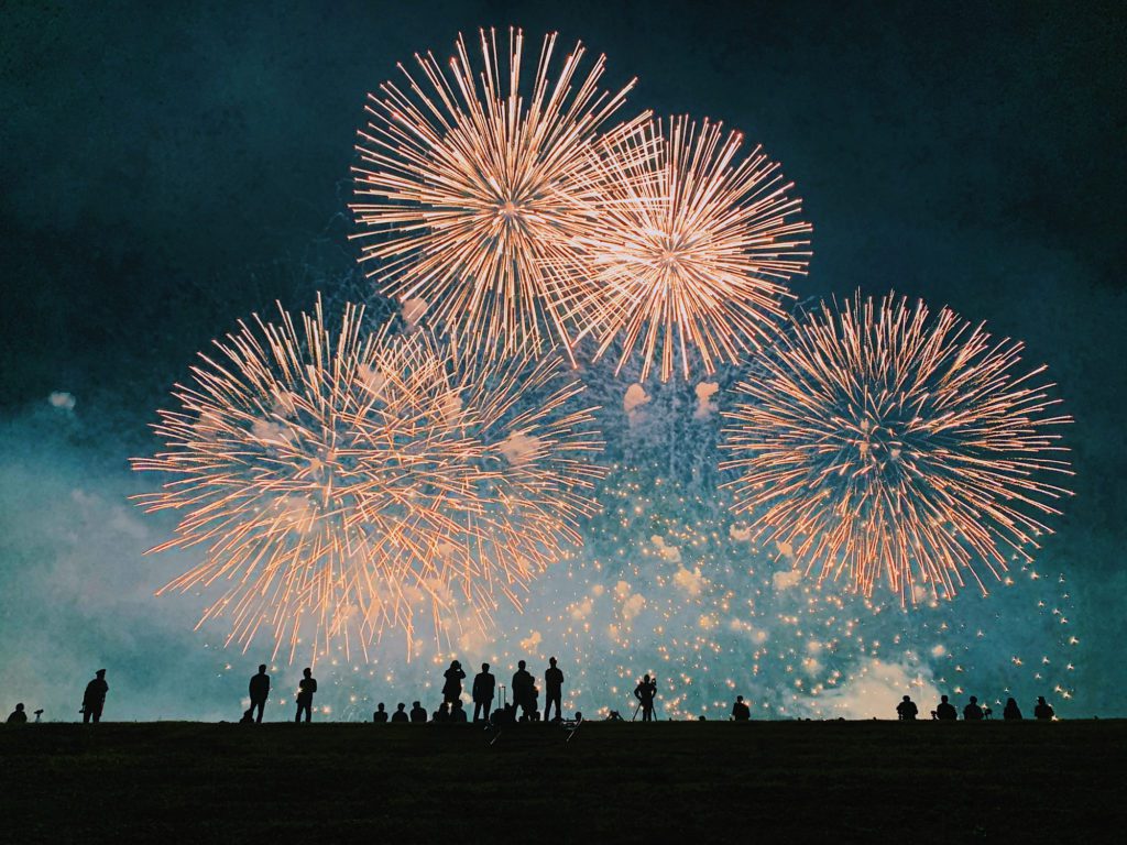How To Safely Celebrate New Year’s Eve With Pets Growing