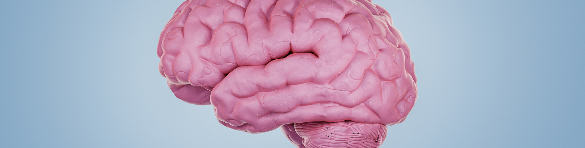 Neuroplasticity